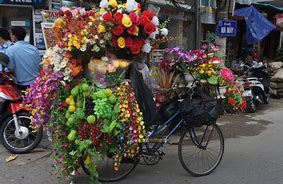 Bloemendetailhandel